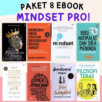 Mindset Pro!